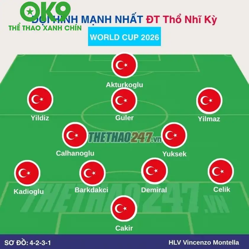 Đội hình tuyển Thổ Nhĩ Kỳ Đội hình thi đấu của tuyển Thổ Nhĩ Kỳ